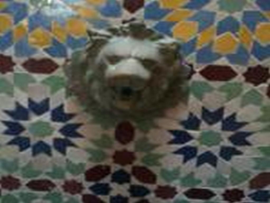 Riad Etoile D'Essaouira Ngoại thất bức ảnh